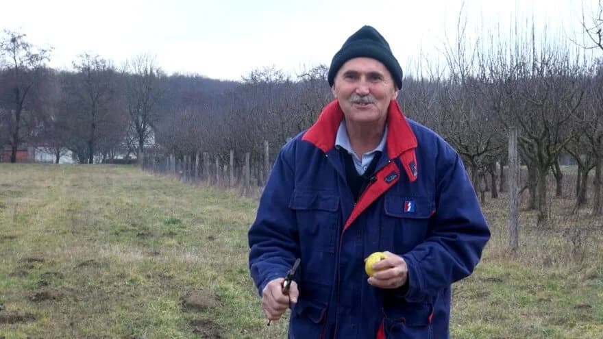 Mirko Veić iz Mihaljevaca sakupljač je starih sorti voća - otkrio kako ih orezivati