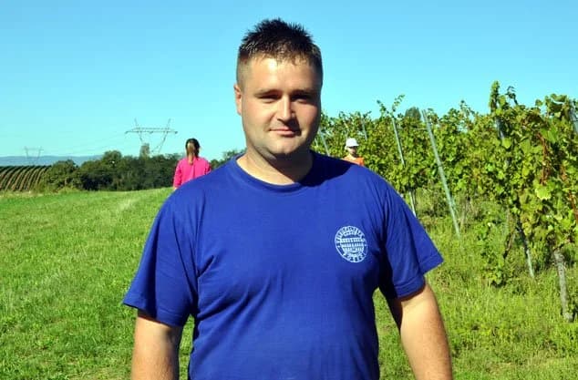 Mali ali vrijedni: Učenici Kempfove osnovne škole u berbi grožđa u vinogradima požeškog Veleučilišta /FOTOGALERIJA/